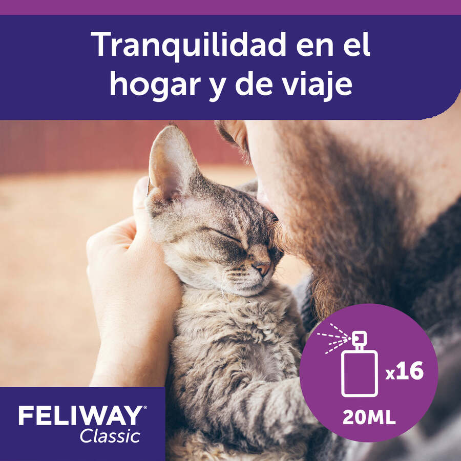 Spray tranquilizante Feliway para gatos