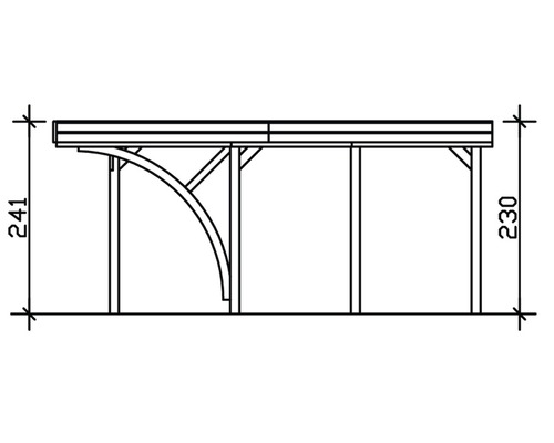 SKAN HOLZ Friesland enkele carport met inrijboog en H-paalankers 314x555 cm geïmpregneerd