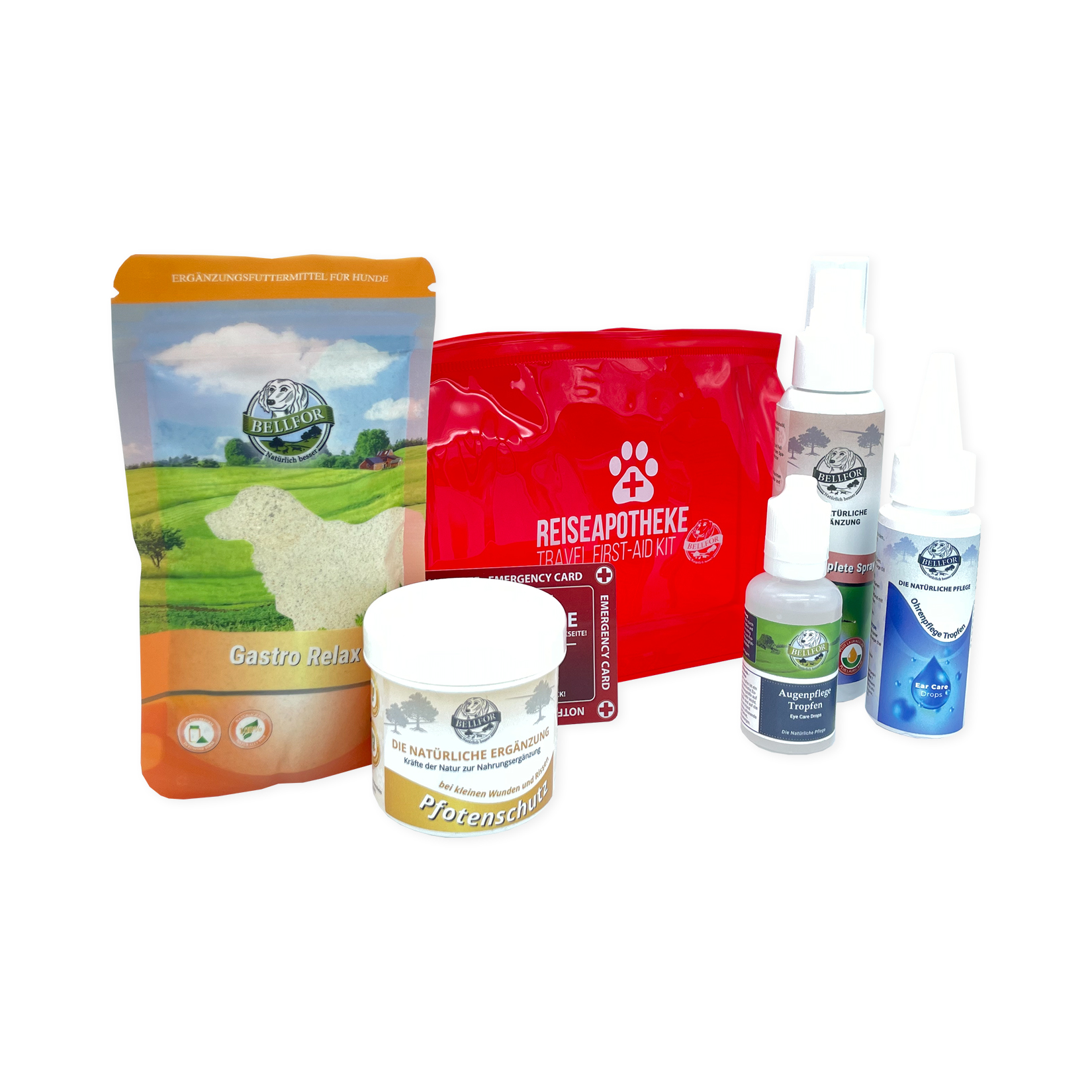 Des produits importants pour votre pharmacie de voyage pour chiens en set économique