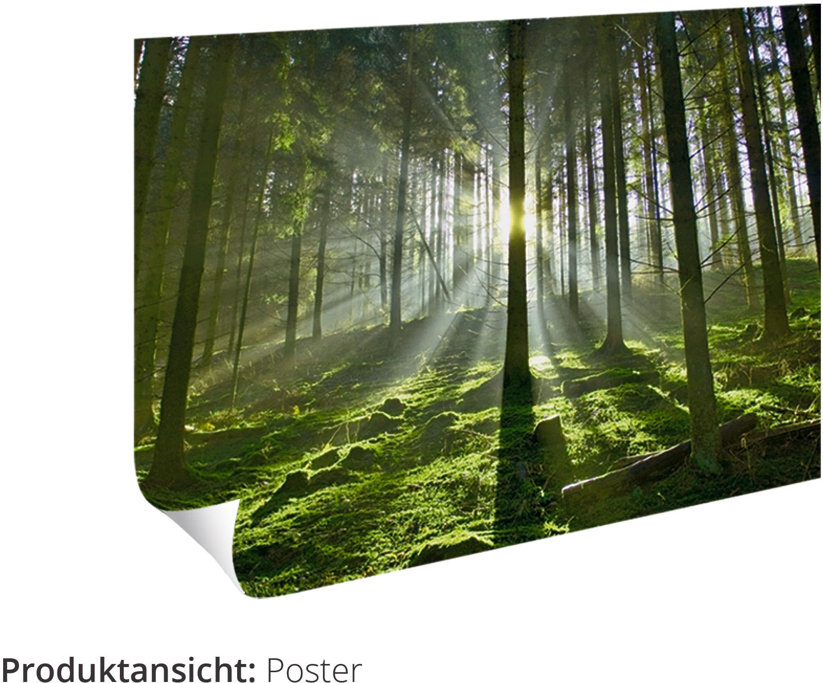 Artland Wandbild »Engel« Spirituelle Bilder 1 Stk. tlg. als Leinwandbild, Poster, Wandaufkleber in verschied. Grössen