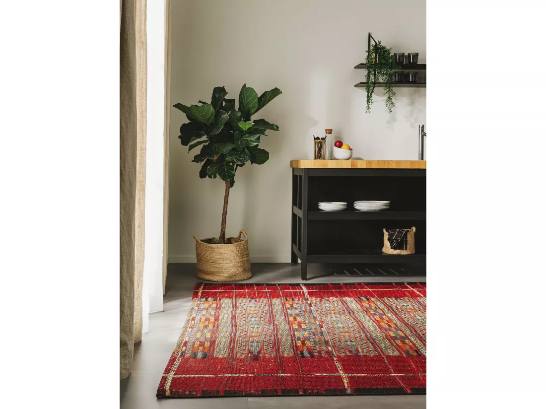 Tapis d'extérieur & intérieur Artis Multicouleur/Rouge 160x235 cm