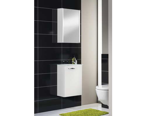 FACKELMANN Meubelwastafel 45 cm Glas Wit