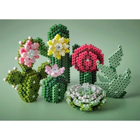Hama Bügelperlen Art - Sukkulenten