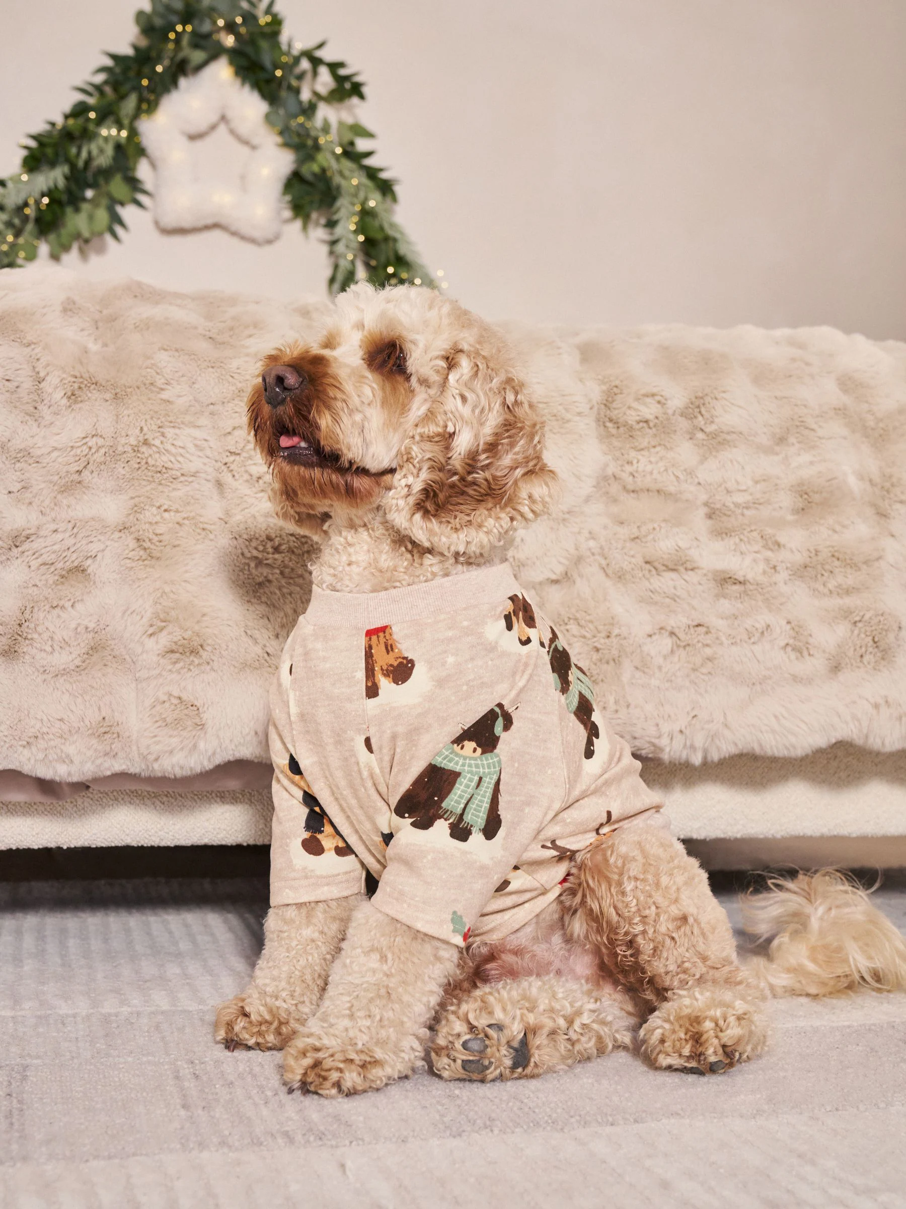 Matching Family - Behaaglijke kerstpyjama voor huisdieren
