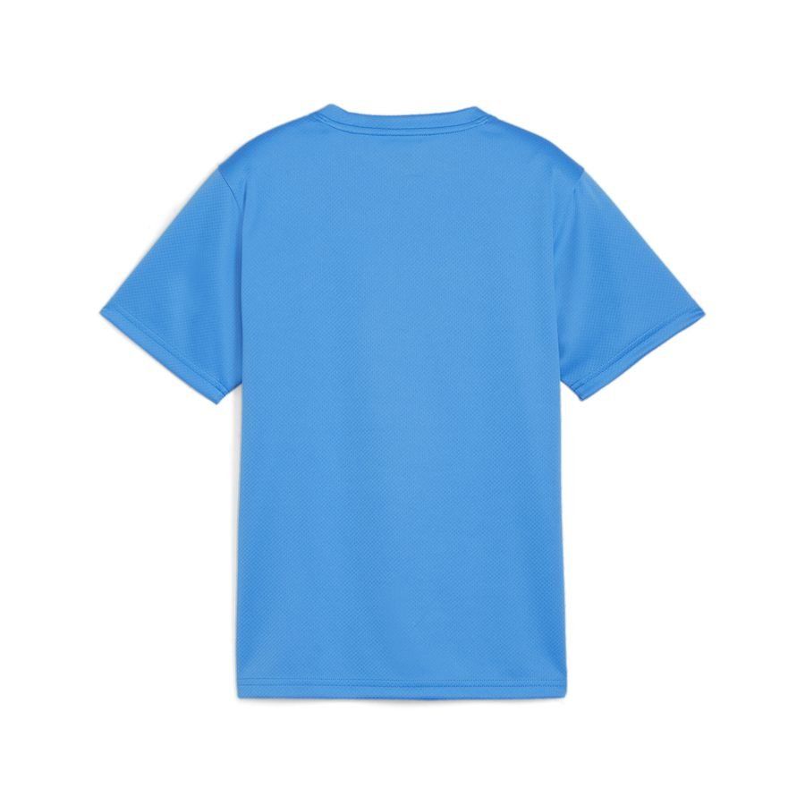 PUMA T-shirt d'Entraînement teamGOAL - Bleu/Blanc Enfant