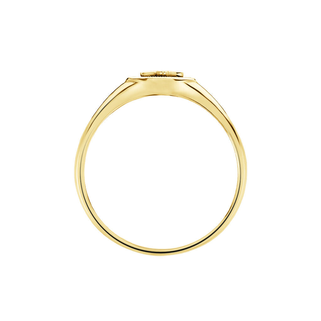 Bague Talisman Or Jaune Agate Diamant