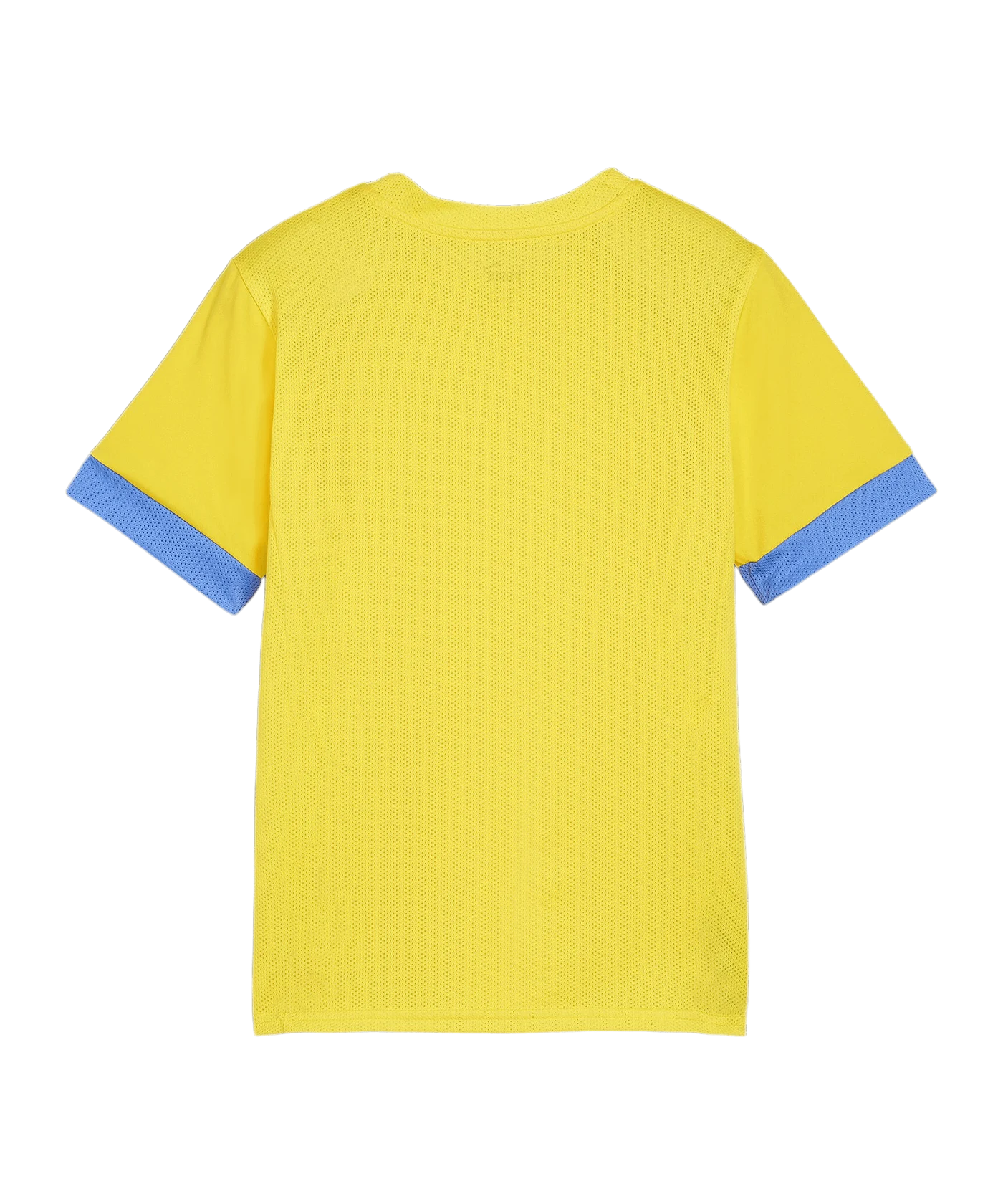 PUMA teamGOAL Matchday Trikot Kids Gelb Blau F17