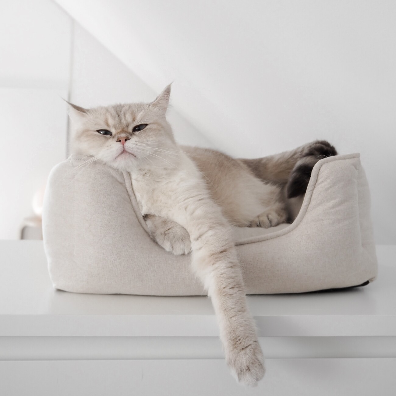 Minty&Marla Schlafplatz Körbchen Katzenbett Linen