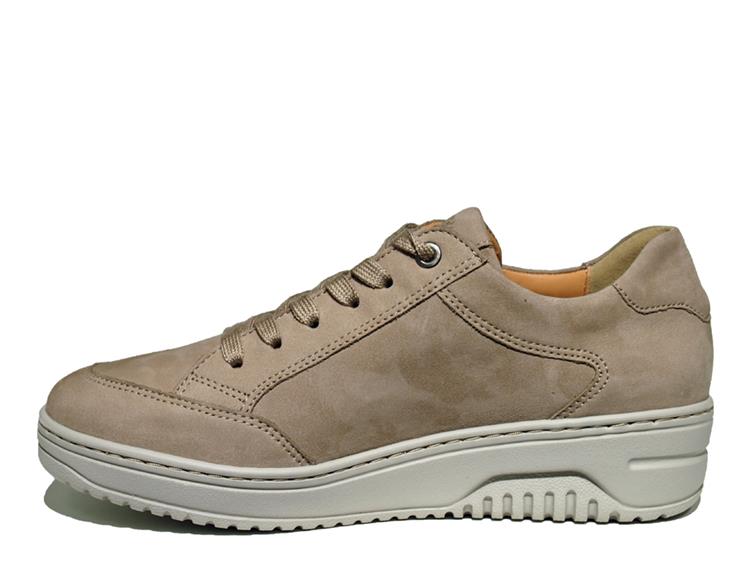 Hartjes 162.1709 birke