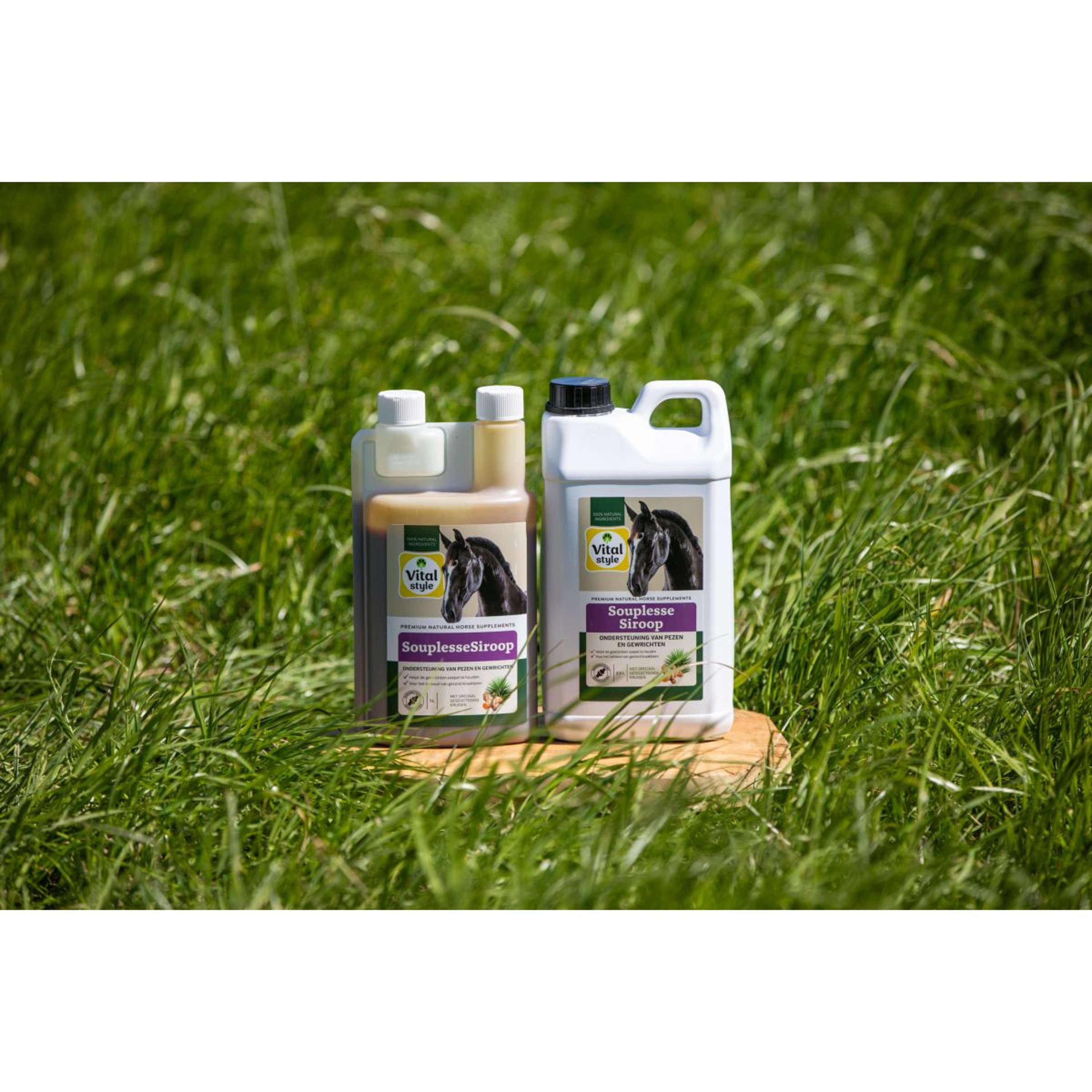 Vitalstyle SouplesseSiroop