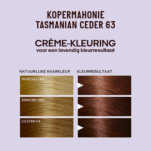 Guhl Pearlance Intensieve Crème-Kleuring N63 Kopermahonie Tasmanian Ceder 115ML