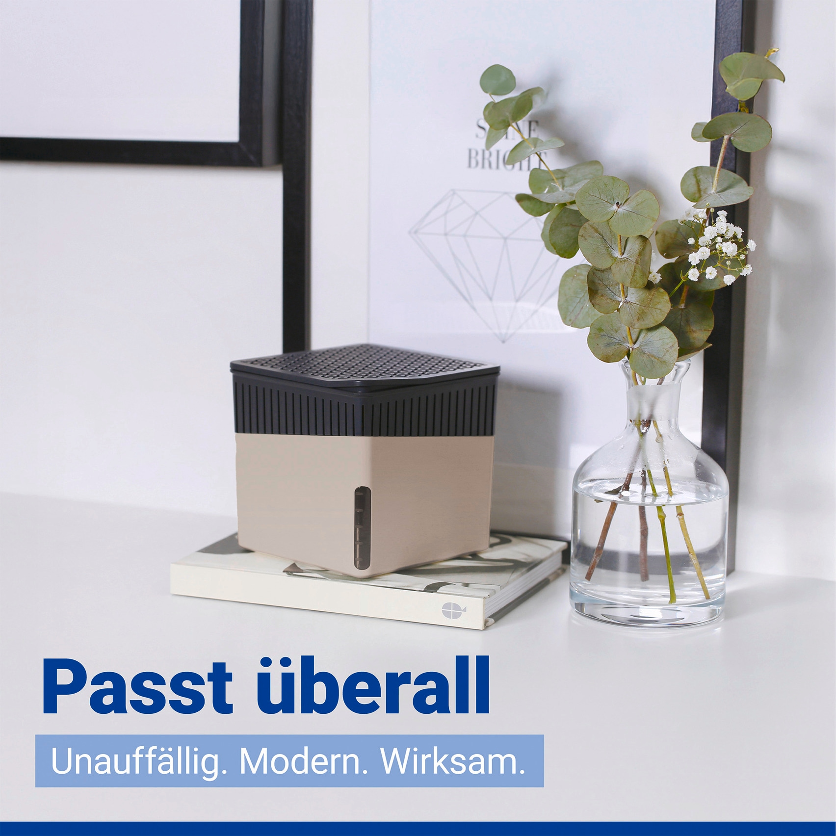 WENKO Luftentfeuchter »Cube« für 80 m³ Räume 1000 g