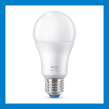 WiZ Connected LED peer E27 60W mat koel tot warmwit licht dimbaar