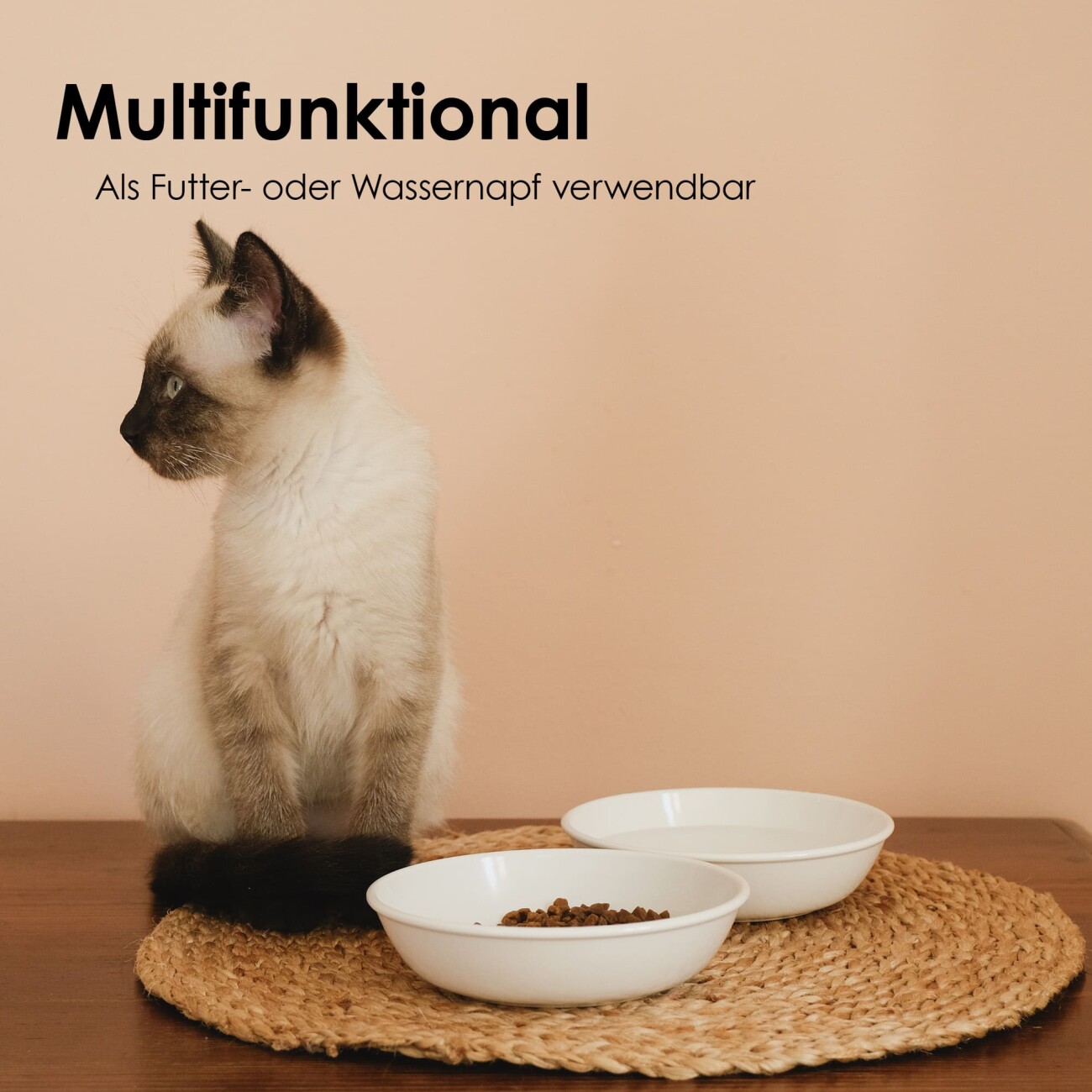 LucyBalu BOWL Melamin Katzennapf