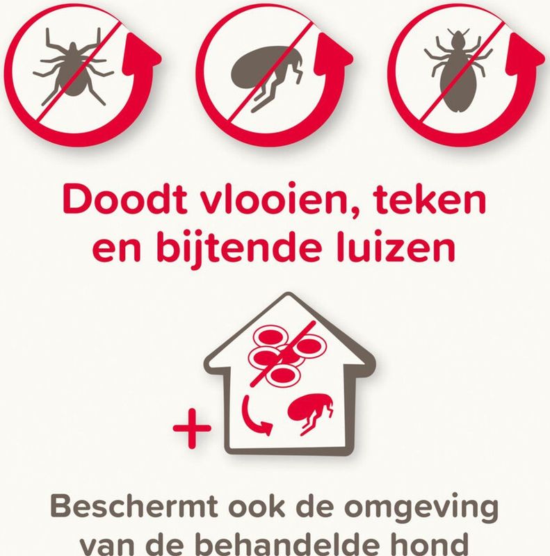 Beaphar Combotec Anti Teken- en Vlooiendruppels Hond 2-10 kg 2 pipetten