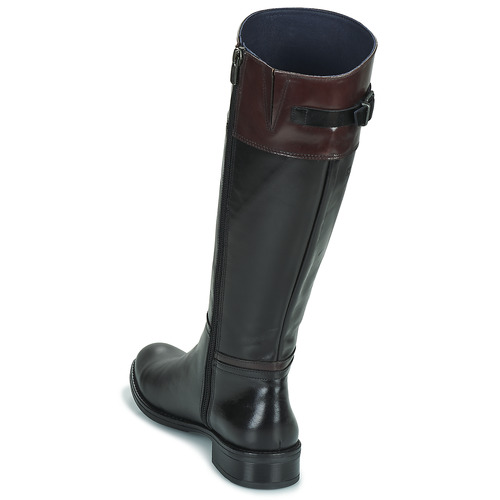 Dorking - TIERRA - Noir / Marron