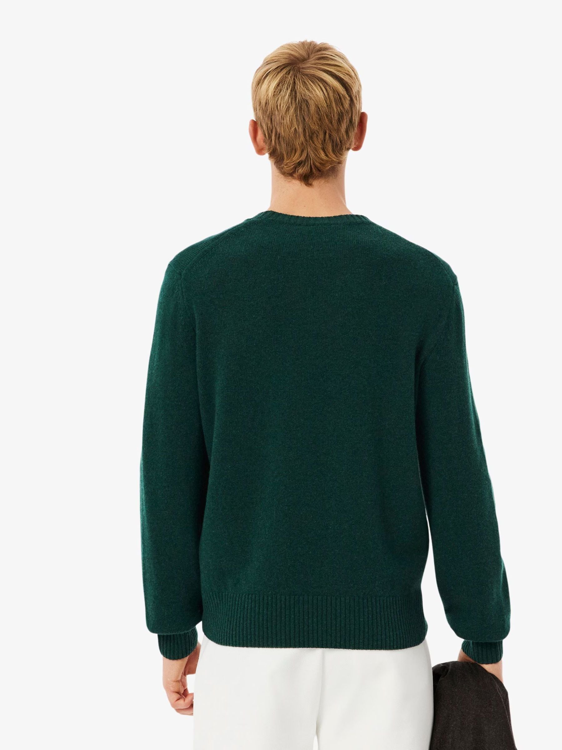 Groen - Lacoste Carded Wool Jersey Crew Neck Sweater