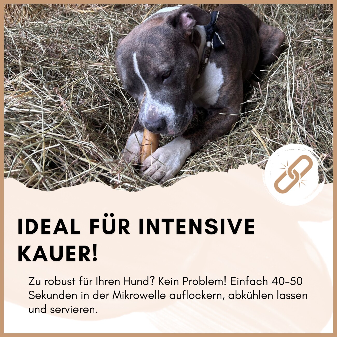 Supravit Yak Kaukäse - für Hunde L