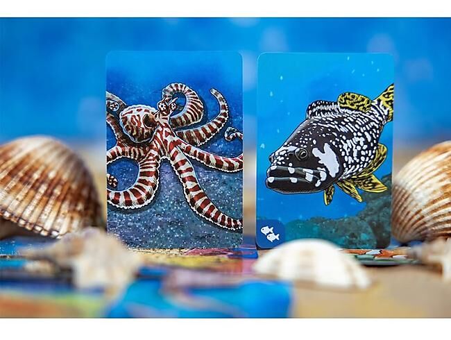 ECOSYSTEME OCEAN