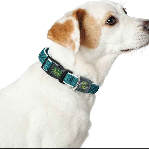Hundehalsbånd Hunter Basic Tråd Blå 20