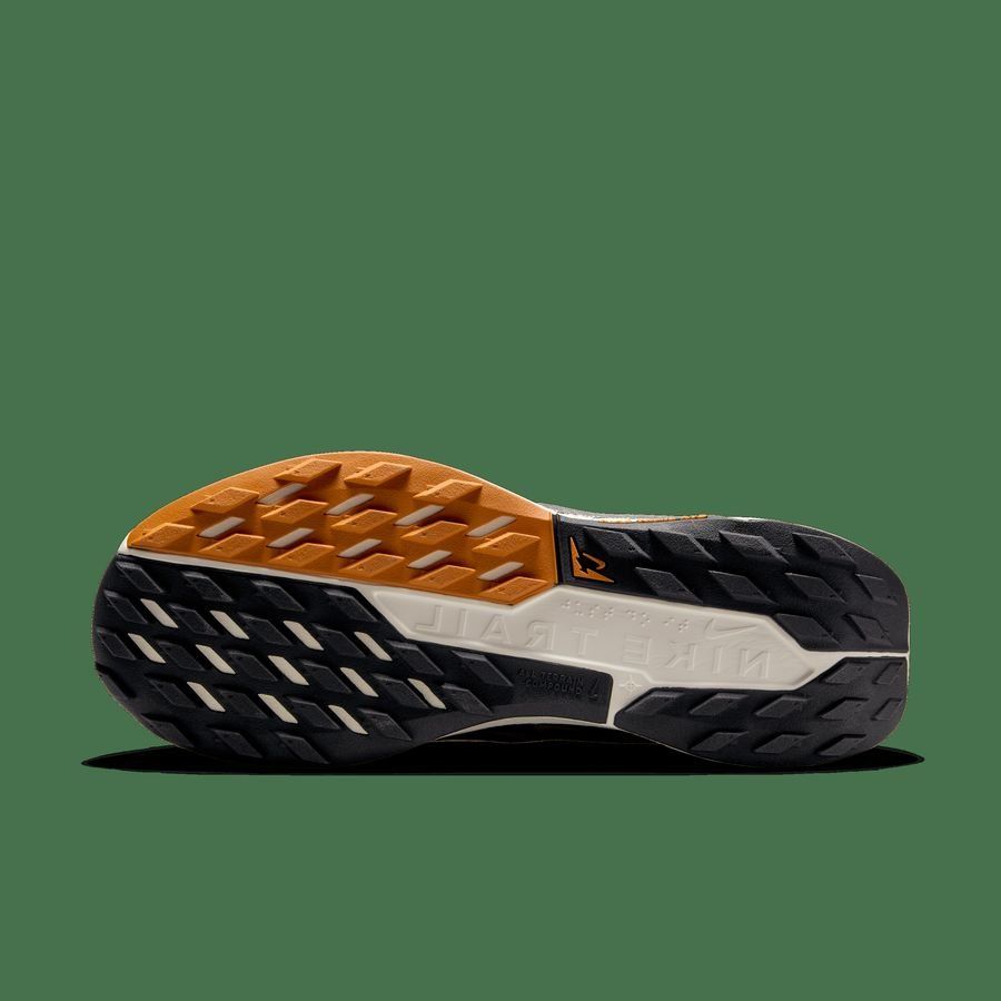 Nike Pegasus Trail 5