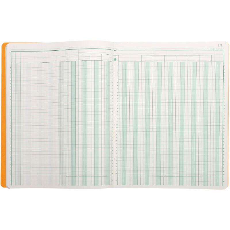 Registre 13 colonnes Exacompta 4130E, 25 x 32 cm 80 pages