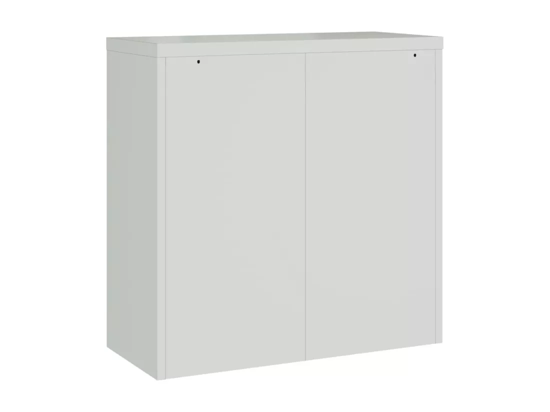 Armoire de bureau avec 2 portes Gris 90 cm Acier