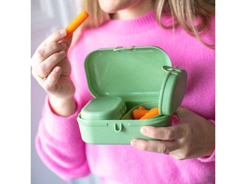 Koziol Lunchbox Pascal Ready Mini Grün Grüne Frühstücksdosen