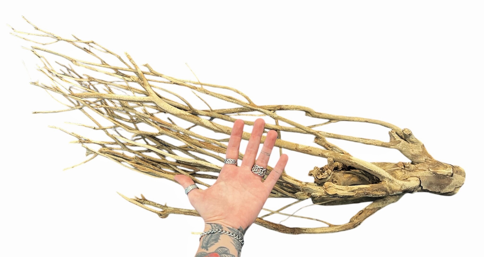 Aquadeco Talawa Hout XL 80-100 cm