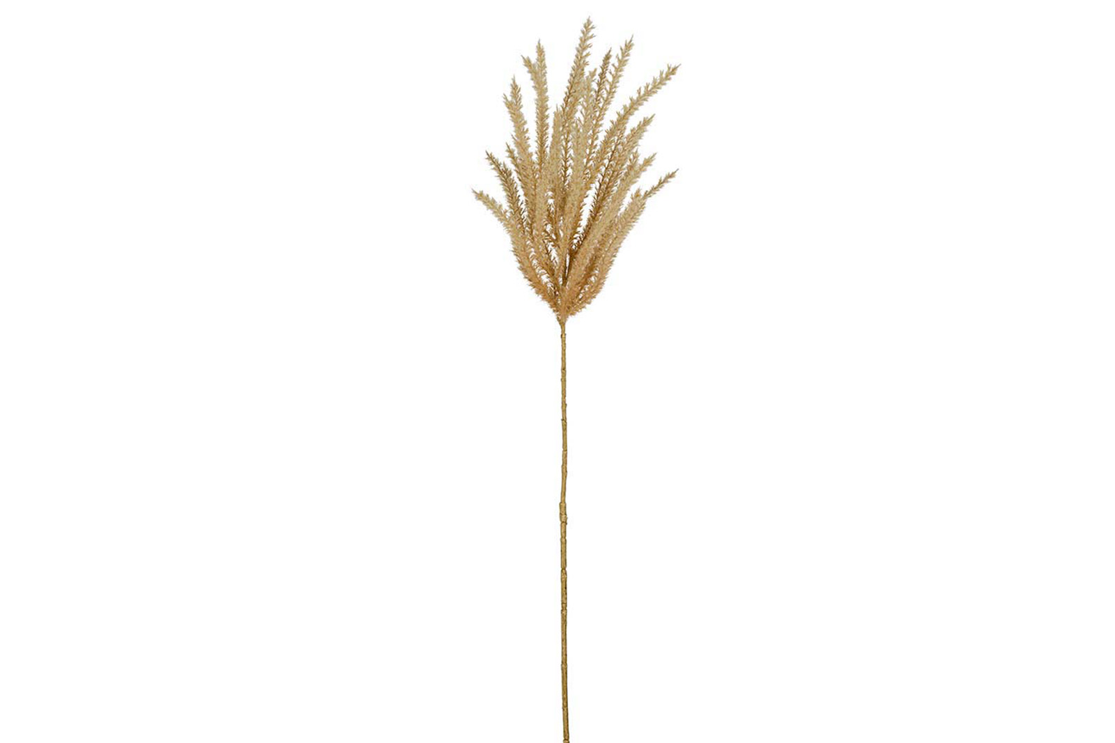 Gress stilkblomst Brunbeige. H90 cm