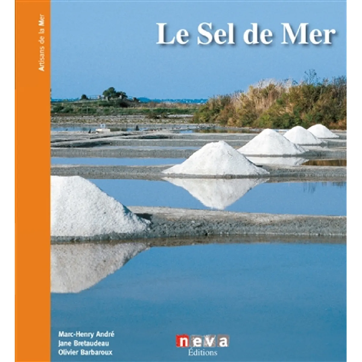 Le sel : la fleur et les paludiers · Occasion