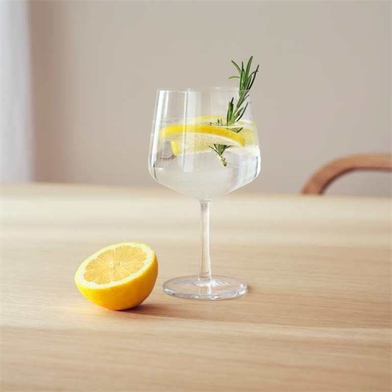 Iittala Essence cocktailglazen 63cl set van 2