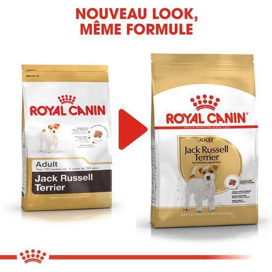 Croquettes chien Jack Russell Adulte plus de 10 mois 3kg