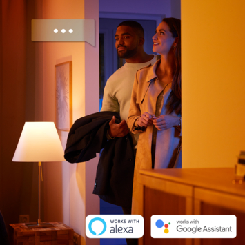 Philips Hue tafellamp Iris wit - wit en gekleurd licht 9W