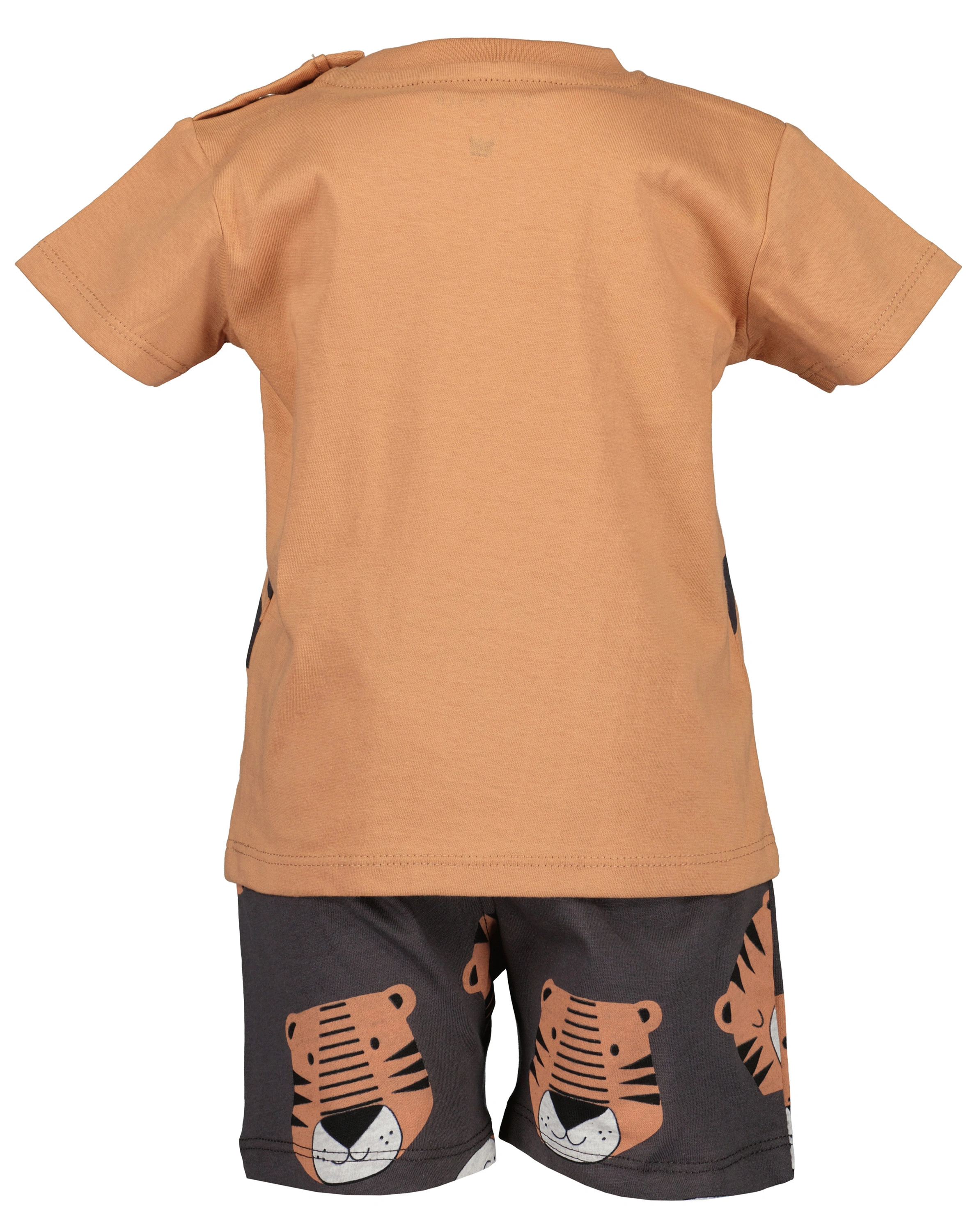 T-Shirt LITTLE TIGER mit Shorts in kupfer