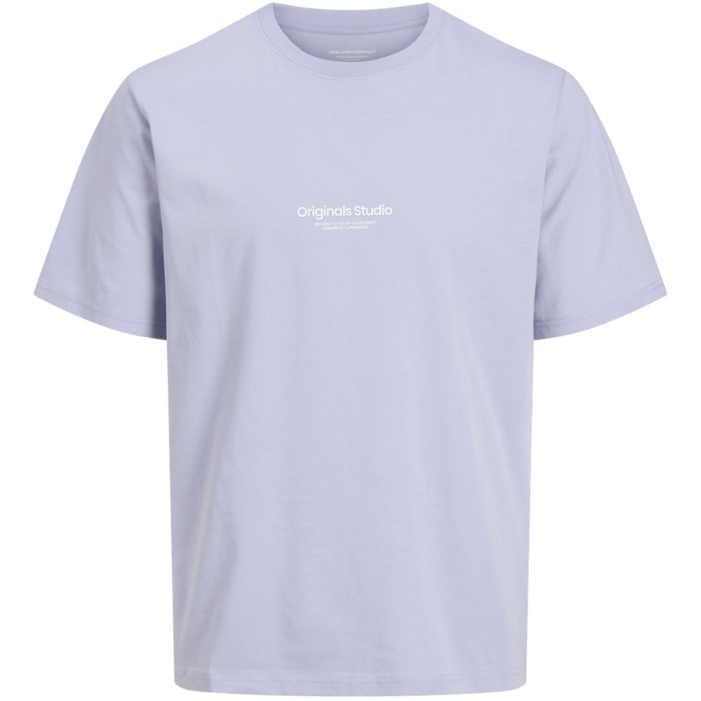 Køb Jack & Jones Junior Cosmic Sky Vesterbro T-Shirt Crew Neck Noos