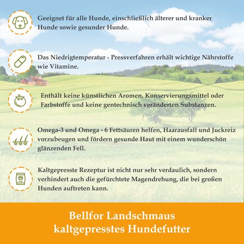 Bellfor Hundefutter für kleine Hunderassen mit Huhn Getreidefrei - Freiland-Schmaus Mini
