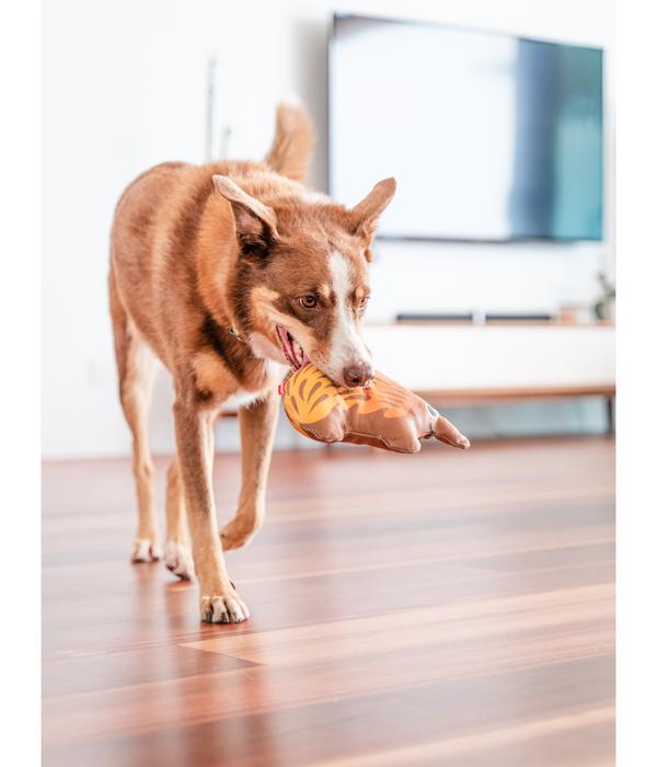 Red Dingo Hundespielzeug DURABLES Toys