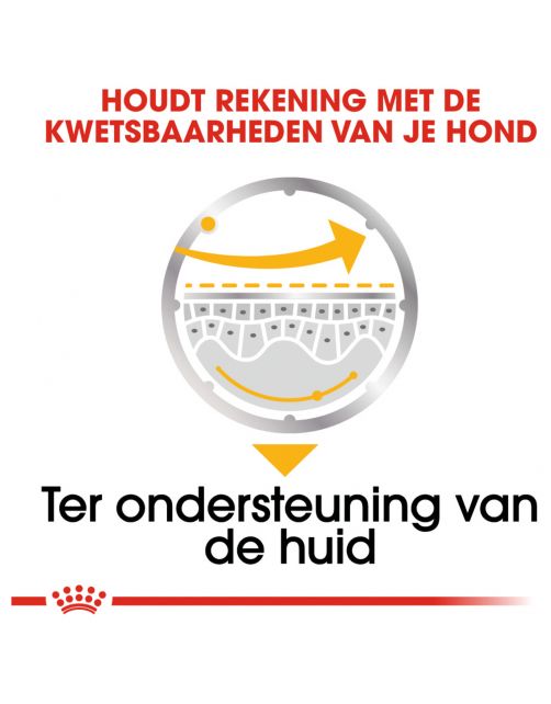 Royal Canin Dermacomfort Natvoer - Hondenvoer - 85 g
