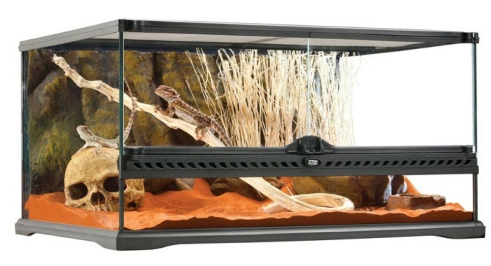 Exo terra terrarium m/bas, 81l, 60x45x30cm