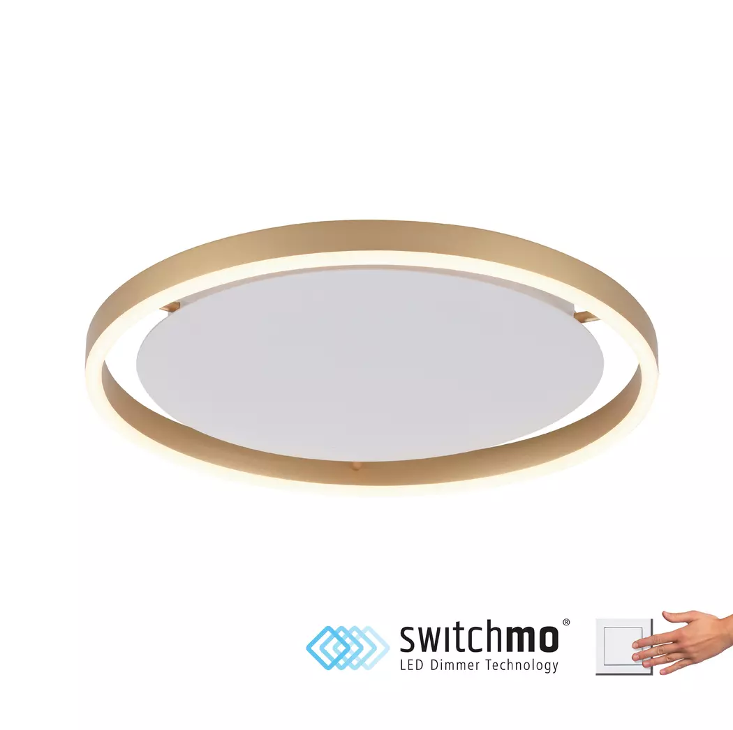 LED-Deckenleuchte Ritus