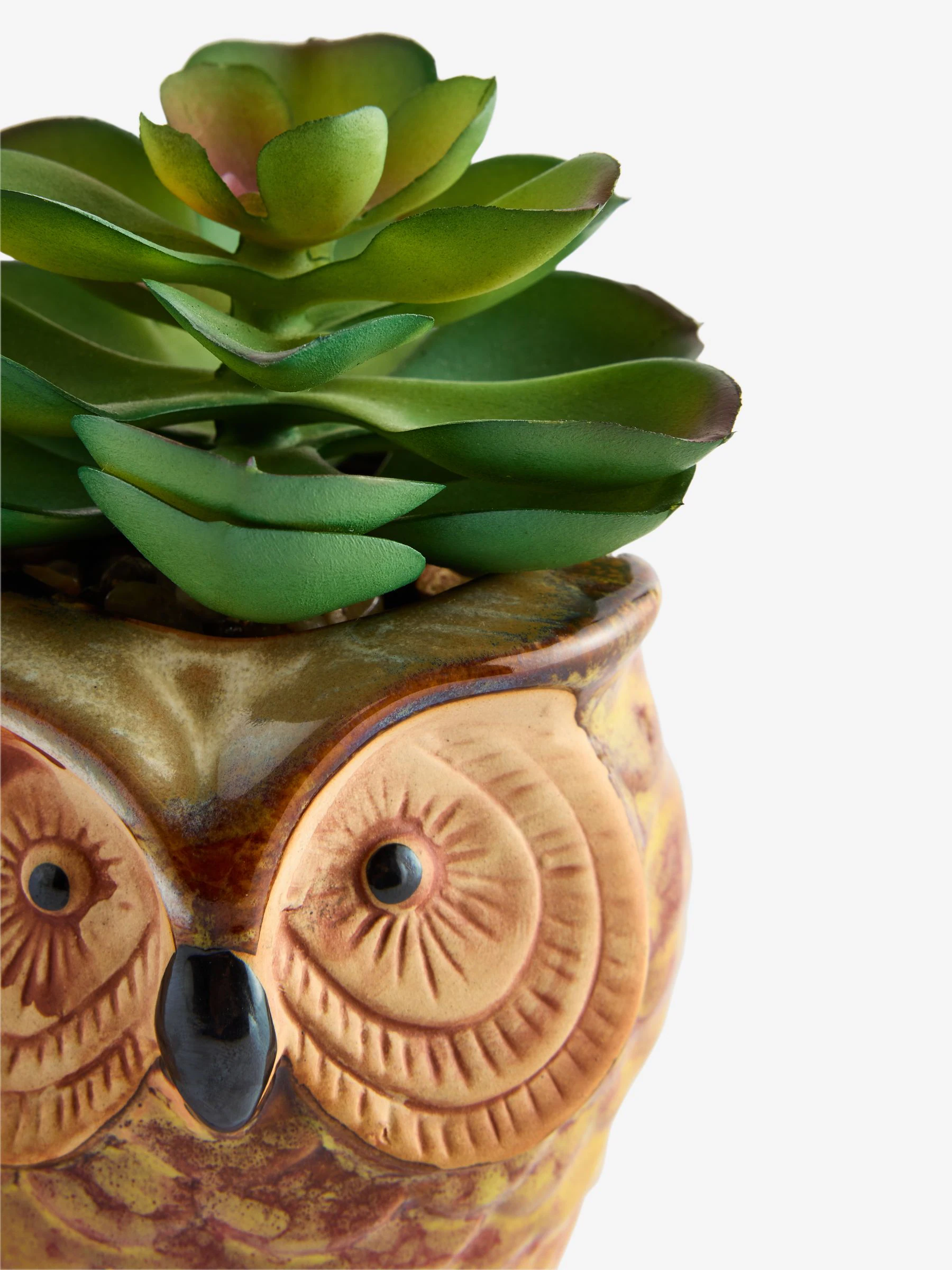 Artificial Succulent in Ceramic Owl Pot
