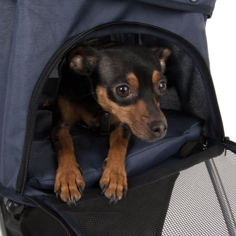 Poussette Sporty Pet à prix discount sur bitiba.fr