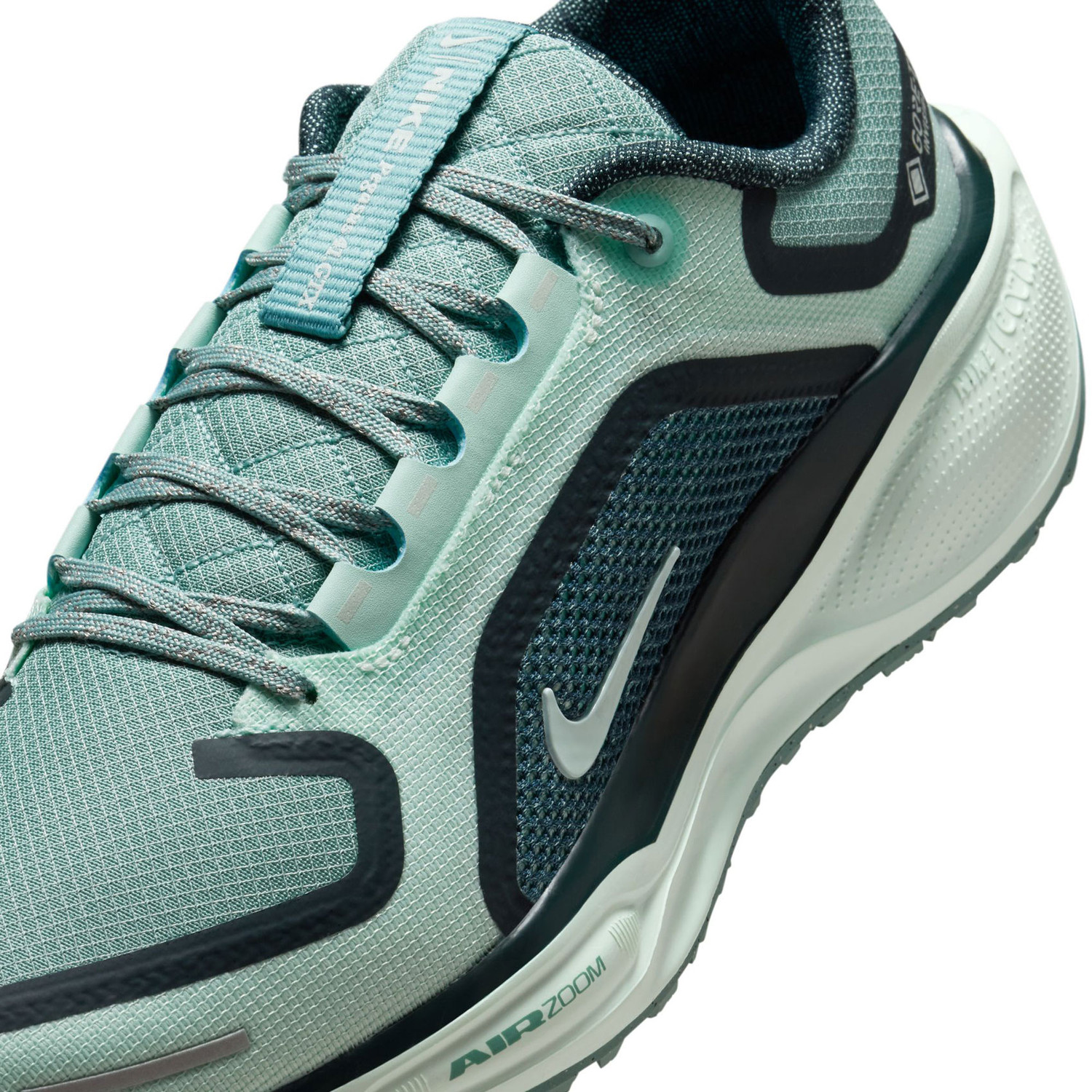 Nike Pegasus 41 GTX Dames