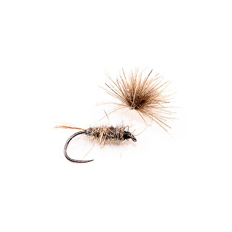 Mouche Devaux Emergente Jbe60