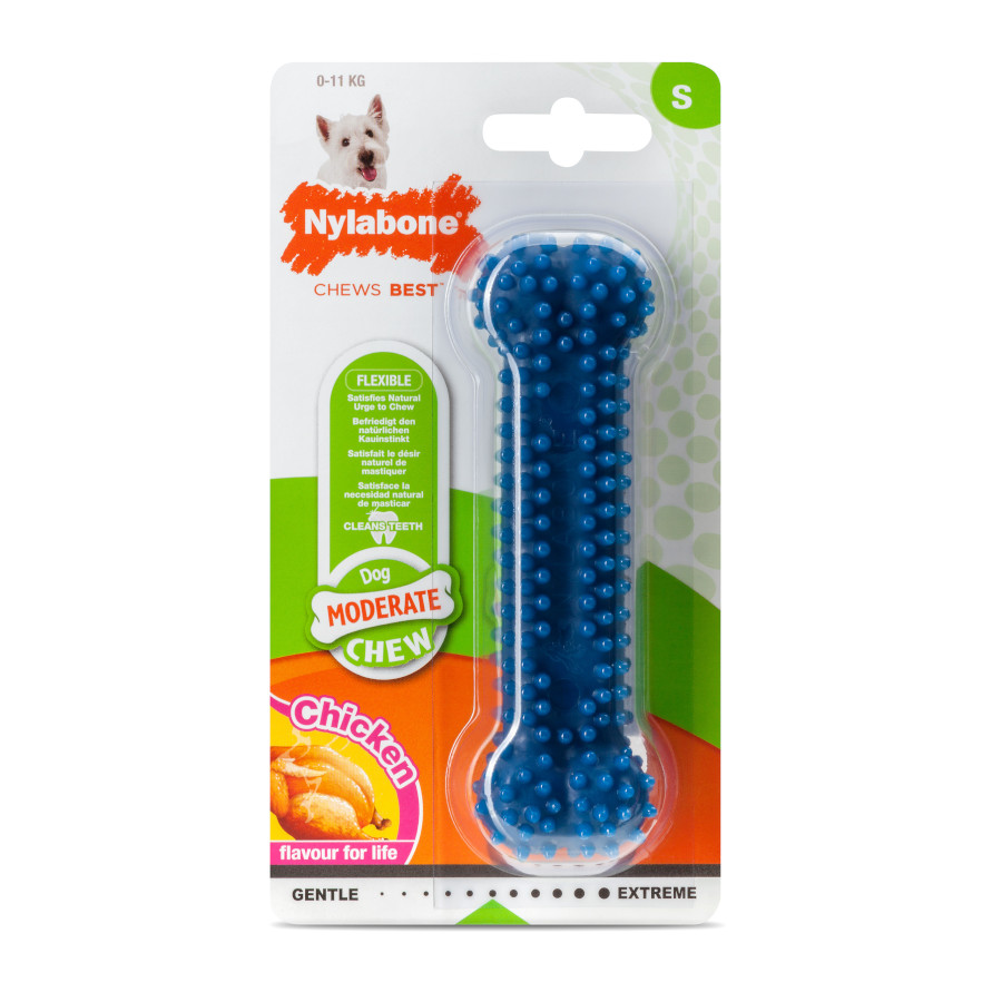 Osso mastigável dental Nylabone para cães