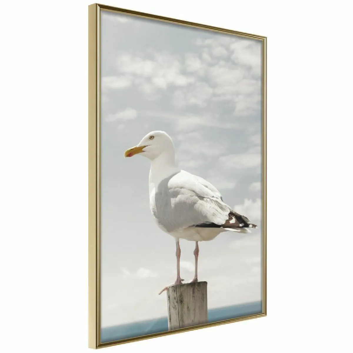 Paris Prix Affiche Curious Seagull - Multicolore
