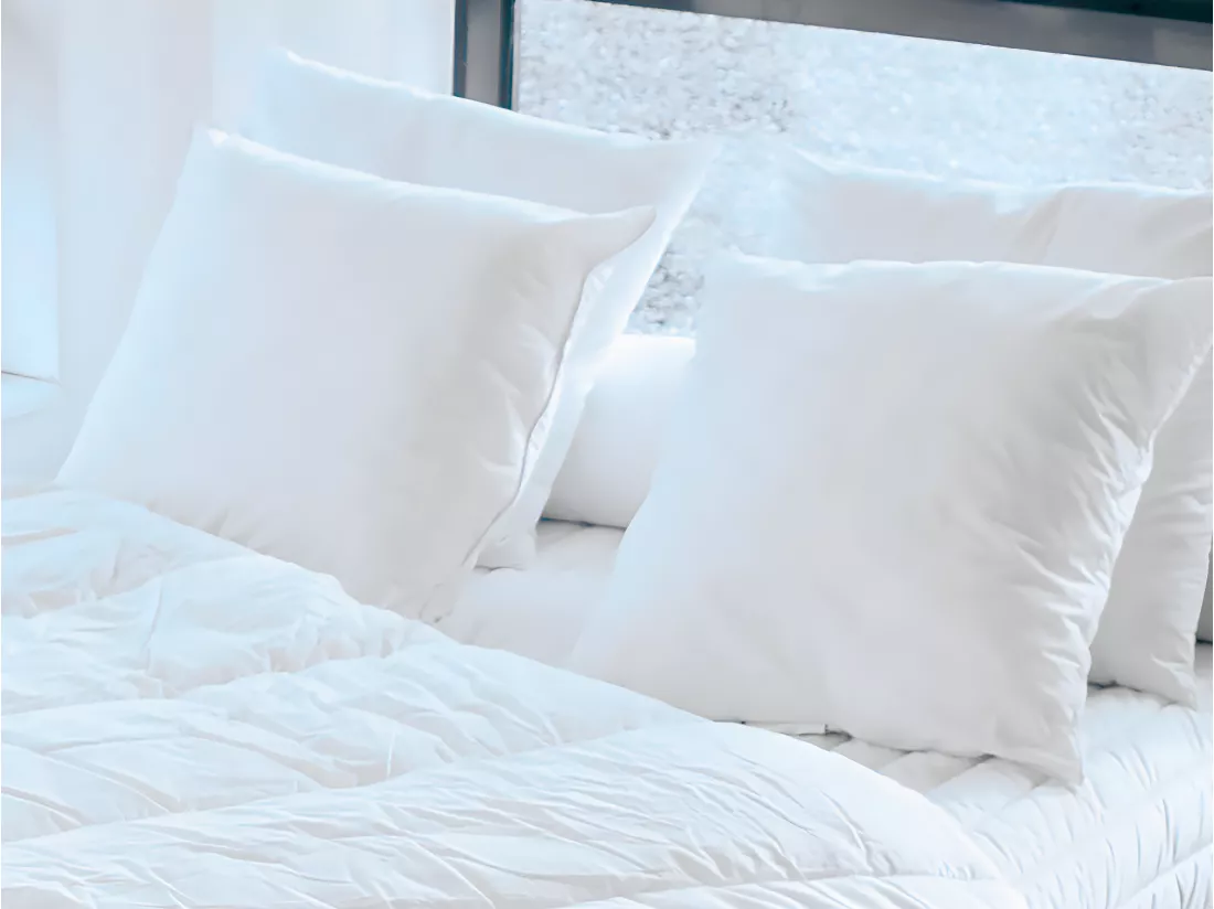 Pack Couette chaude 240 x 260 cm + 2 oreillers 60 x 60 cm recyclés de DREAMEA - ROSA