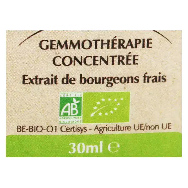 Herbalgem Macérat Concentré Peuplier Bio 30ml