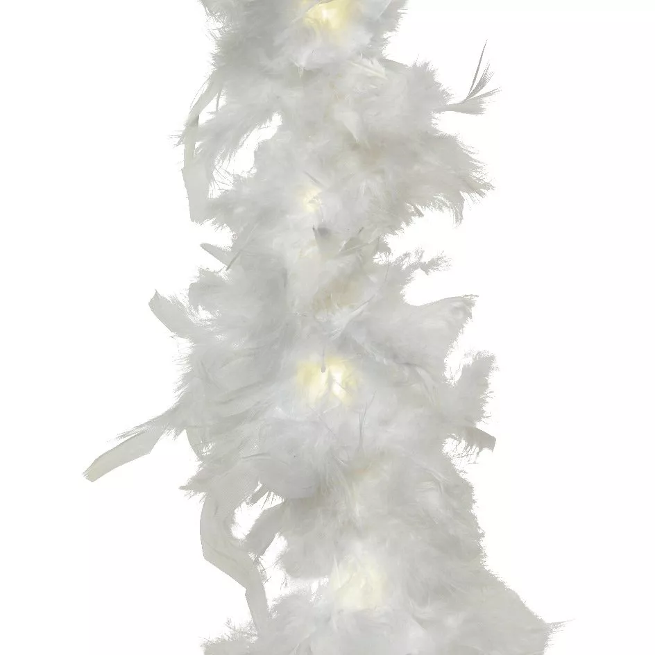 Guirlande lumineuse à piles 20 LED (1,8 m) Boa Blanc chaud
